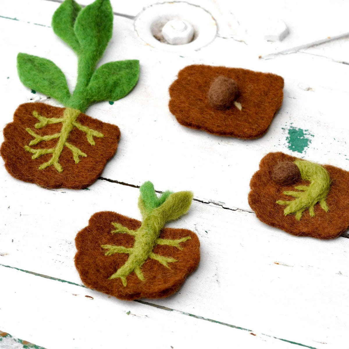 Tara Treasures: Felt Lifecycle of a Bean Plant