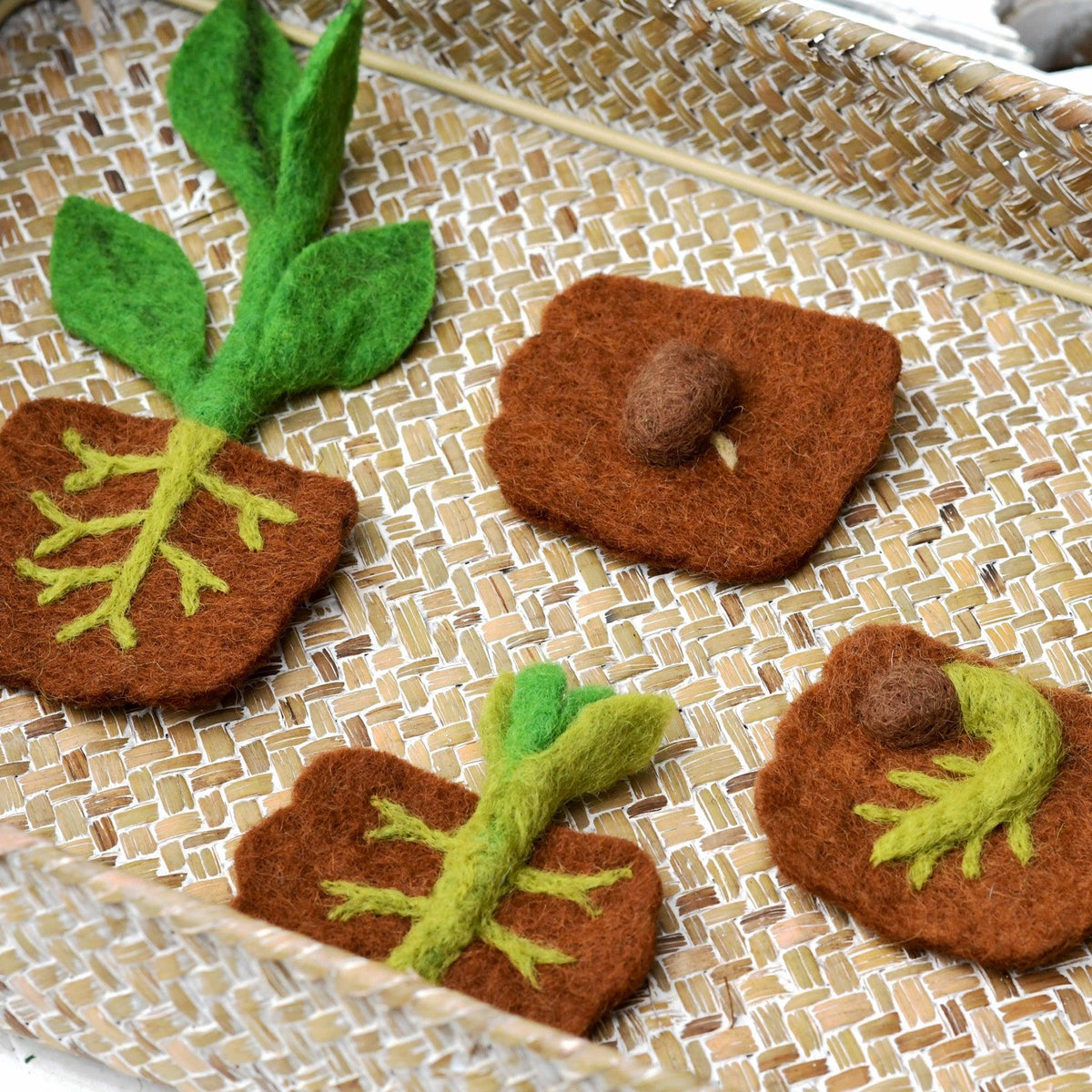 Tara Treasures: Felt Lifecycle of a Bean Plant