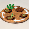 Tara Treasures: Felt Lifecycle of a Bean Plant