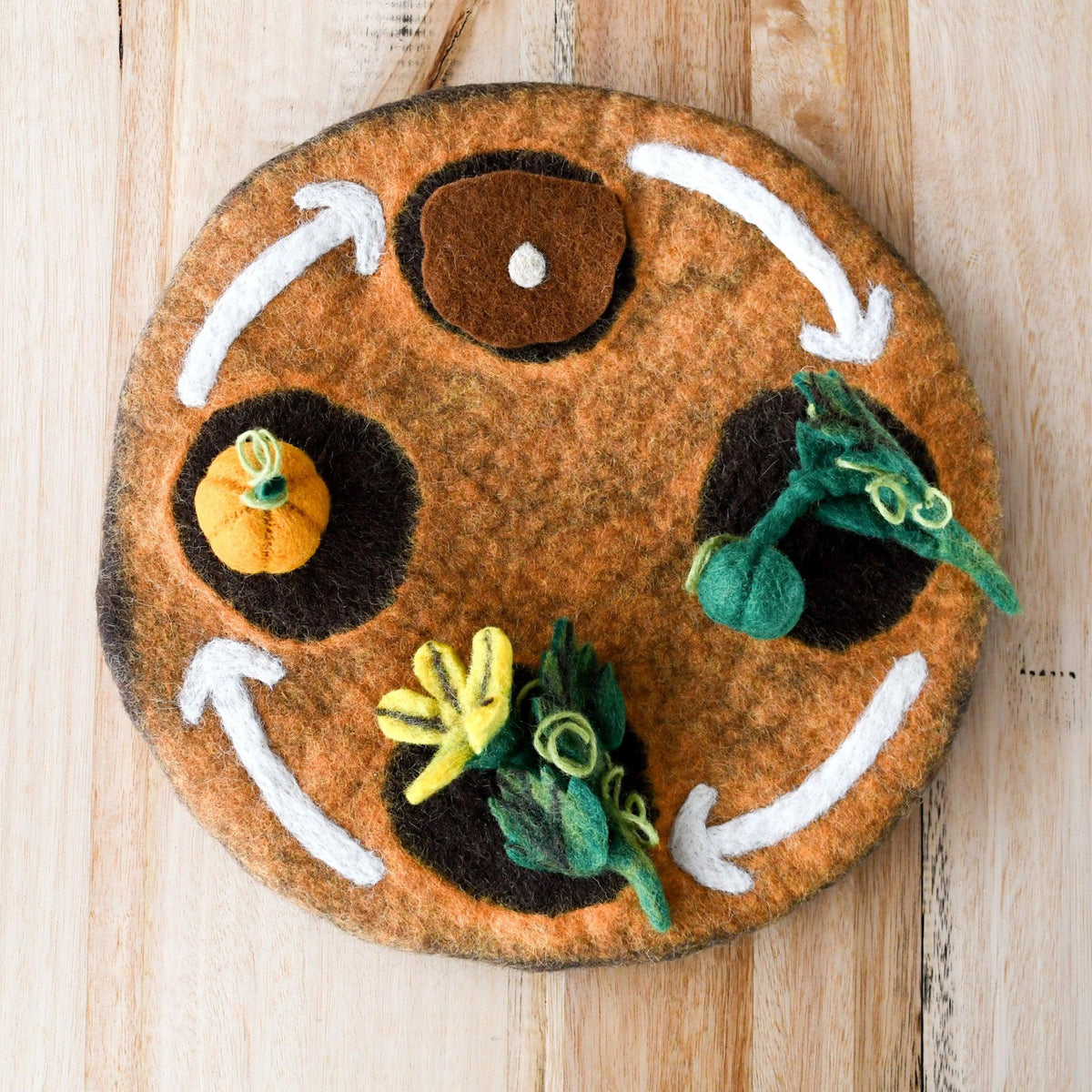 Tara Treasures: Felt Lifecycle of a Pumpkin
