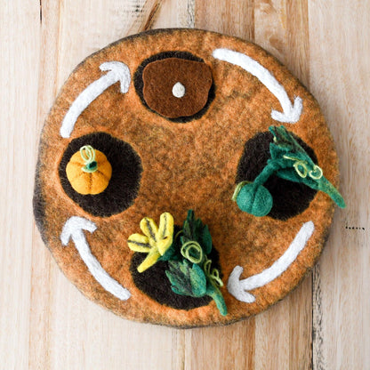 Tara Treasures: Felt Lifecycle of a Pumpkin
