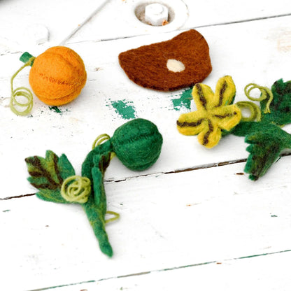 Tara Treasures: Felt Lifecycle of a Pumpkin
