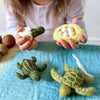 Tara Treasures: Felt Lifecycle of Green Sea Turtle