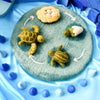 Tara Treasures: Felt Lifecycle of Green Sea Turtle