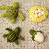 Tara Treasures: Felt Lifecycle of Green Sea Turtle
