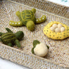 Tara Treasures: Felt Lifecycle of Green Sea Turtle