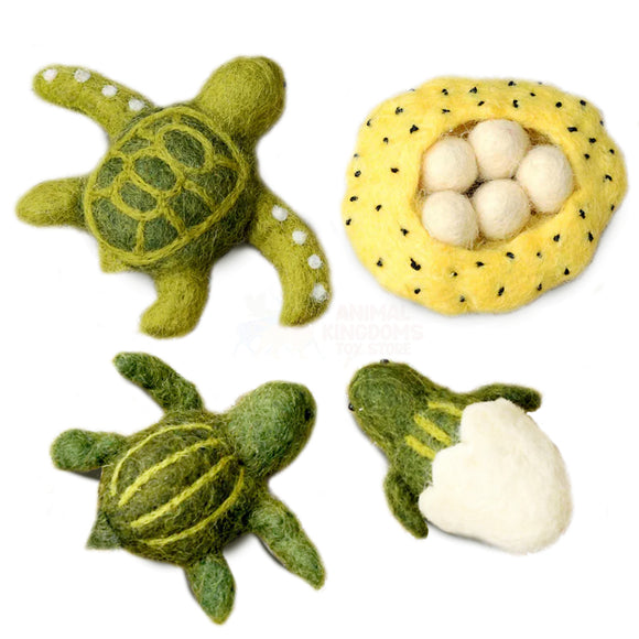 Tara Treasures: Felt Lifecycle of Green Sea Turtle