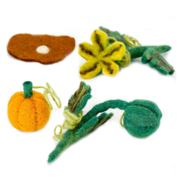 Tara Treasures: Felt Lifecycle of a Pumpkin