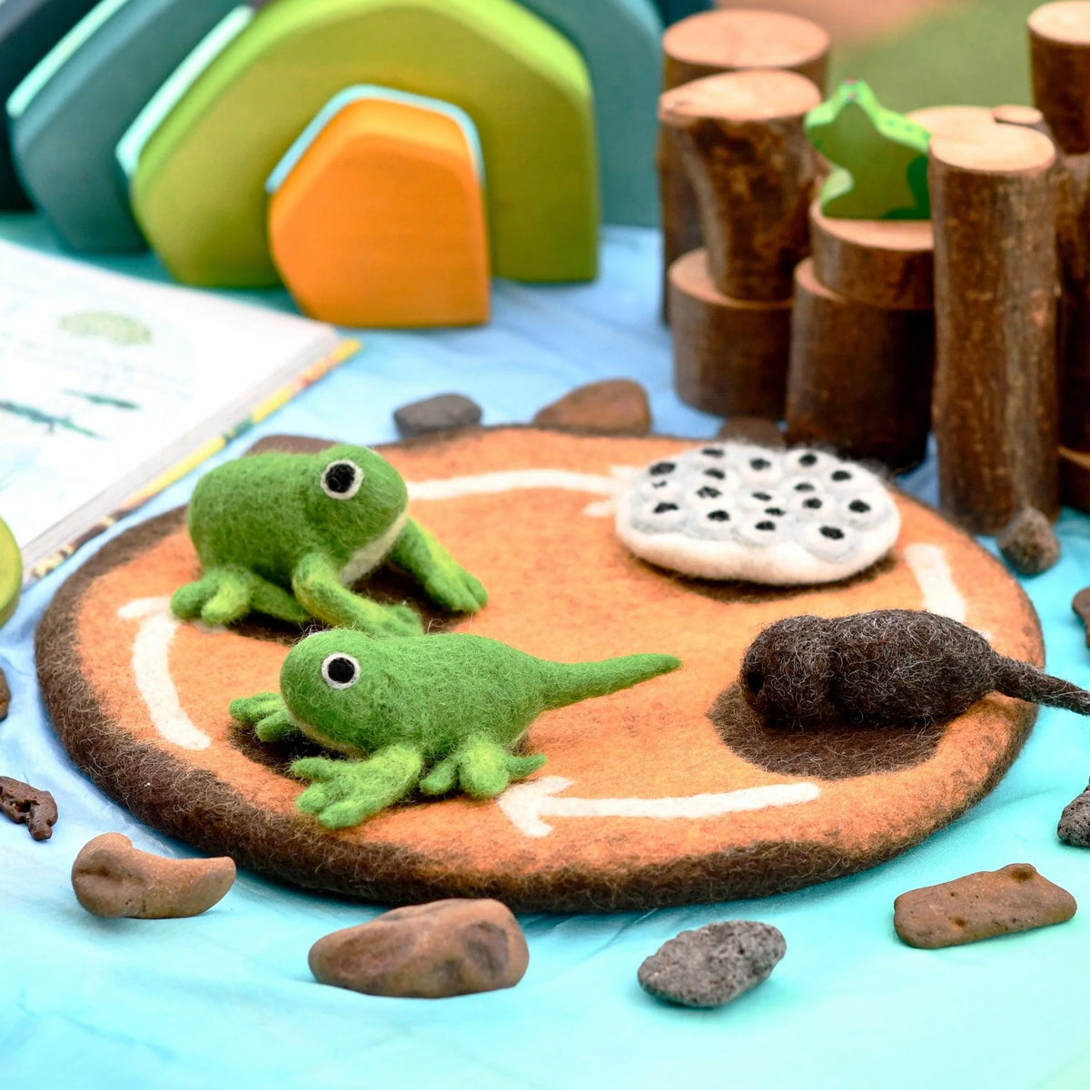 Tara Treasures: Felt Lifecycle of a Frog
