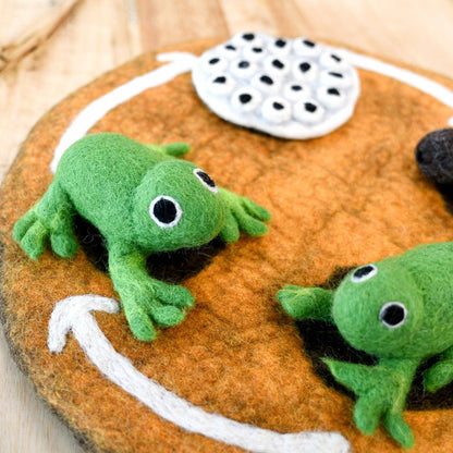 Tara Treasures: Felt Lifecycle of a Frog