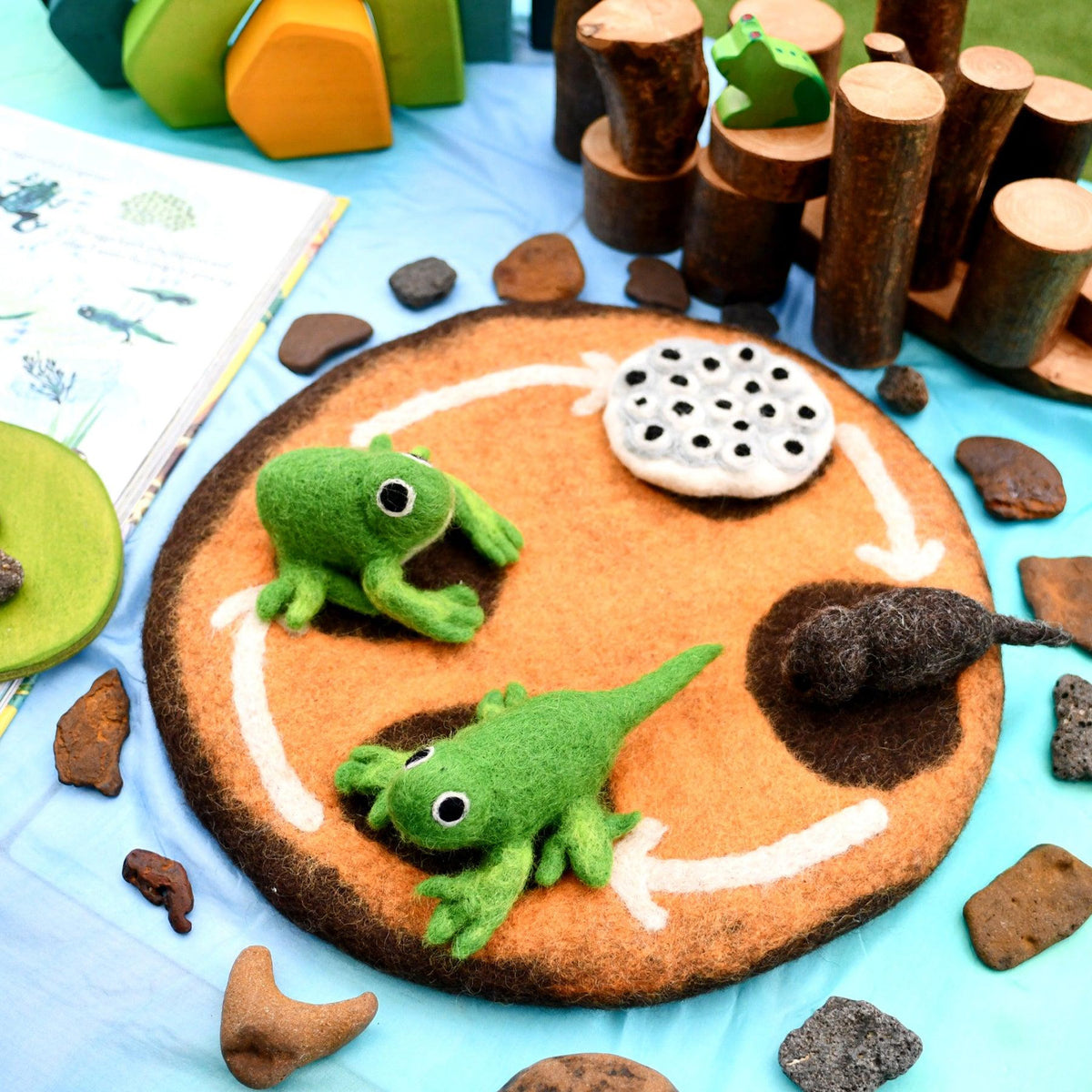 Tara Treasures: Felt Lifecycle of a Frog