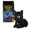 Warrior Cats Large Mystery Plush