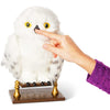 Wizarding World Enchanted Hedwig