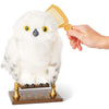 Wizarding World Enchanted Hedwig