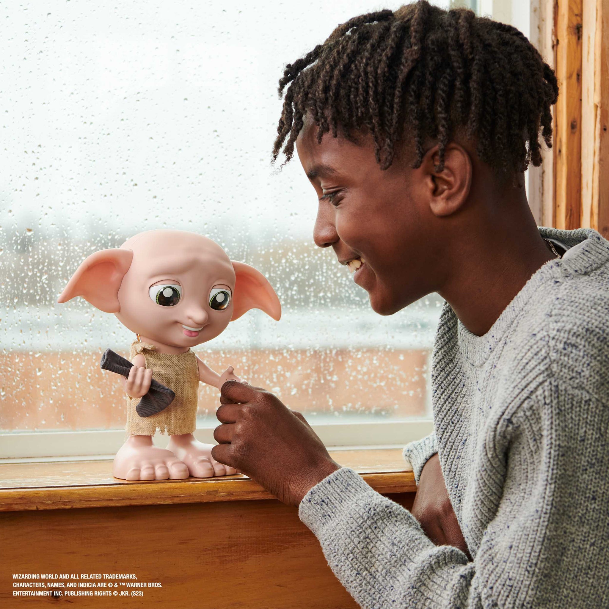 Wizarding World Enchanted Interactive Magical Dobby – Animal Kingdoms ...