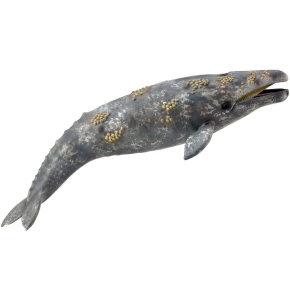 CollectA Grey Whale