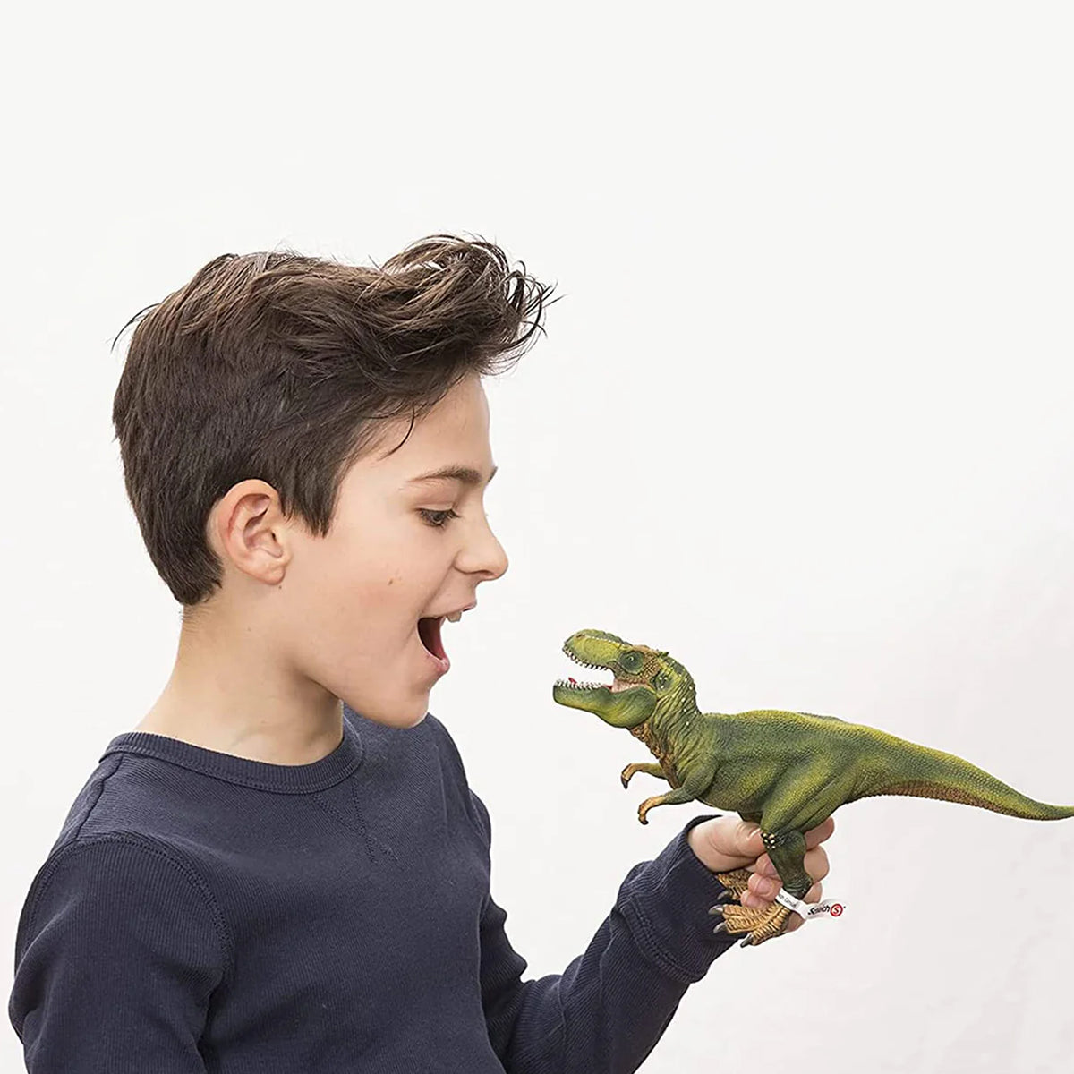 Schleich Tyrannosaurus Rex