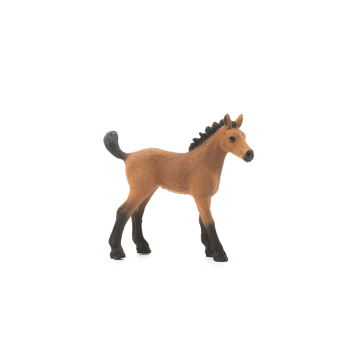 Schleich Quarter Horse Foal-13854-Animal Kingdoms Toy Store