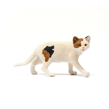 Schleich American Short hair Cat-13894-Animal Kingdoms Toy Store
