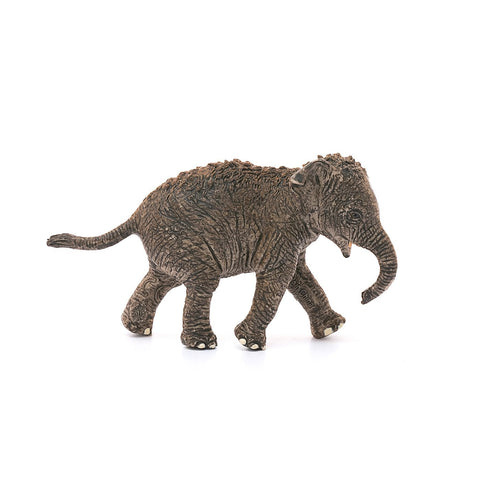 Schleich Asian Elephant Calf