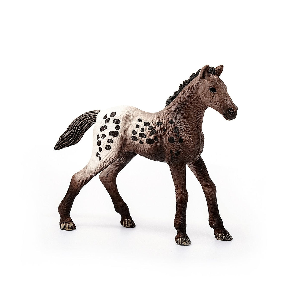 Schleich Appaloosa Foal-13862-Animal Kingdoms Toy Store