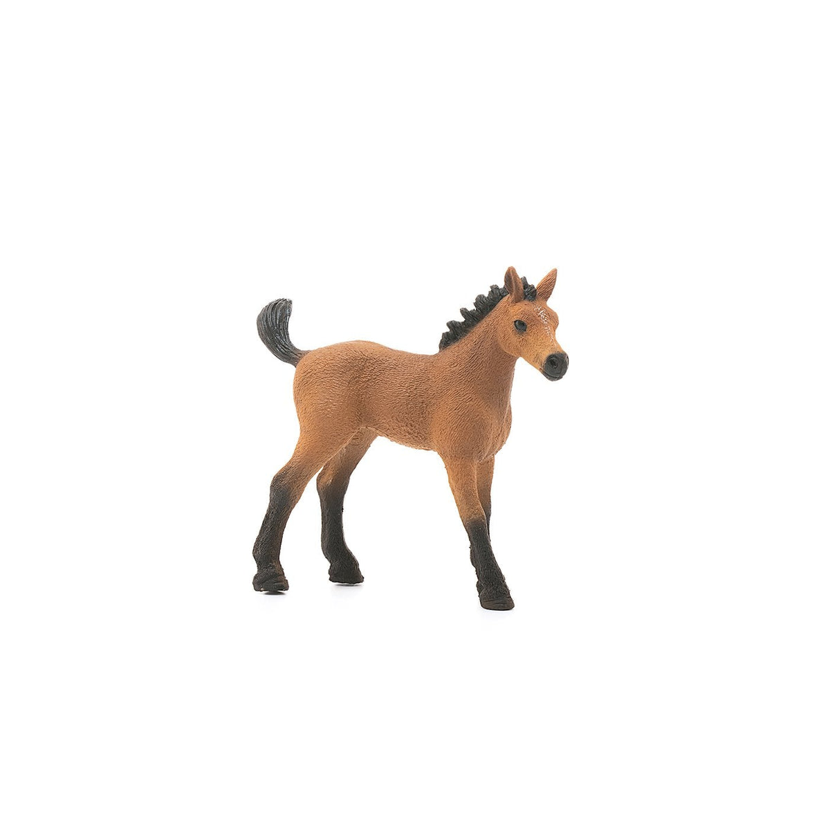 Schleich Quarter Horse Foal-13854-Animal Kingdoms Toy Store