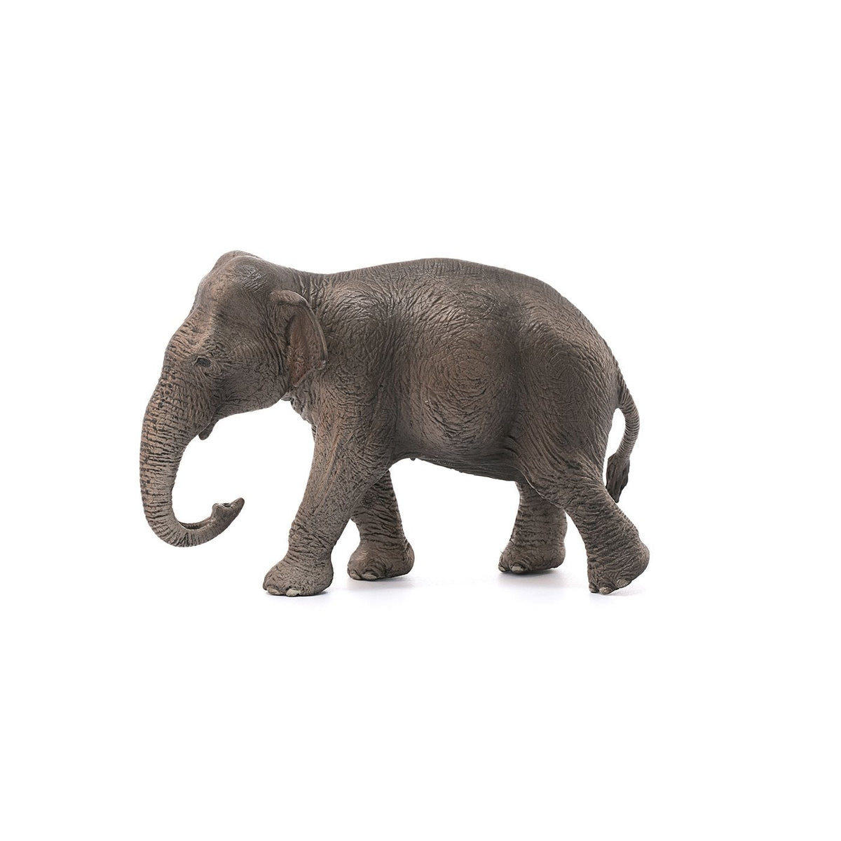 Schleich Asian Elephant Cow-14753-Animal Kingdoms Toy Store