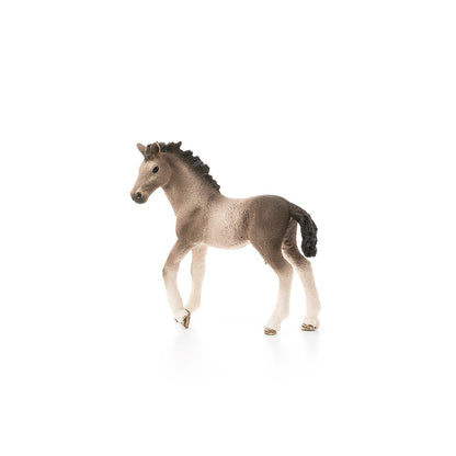 Schleich Andalusian Foal-13822-Animal Kingdoms Toy Store