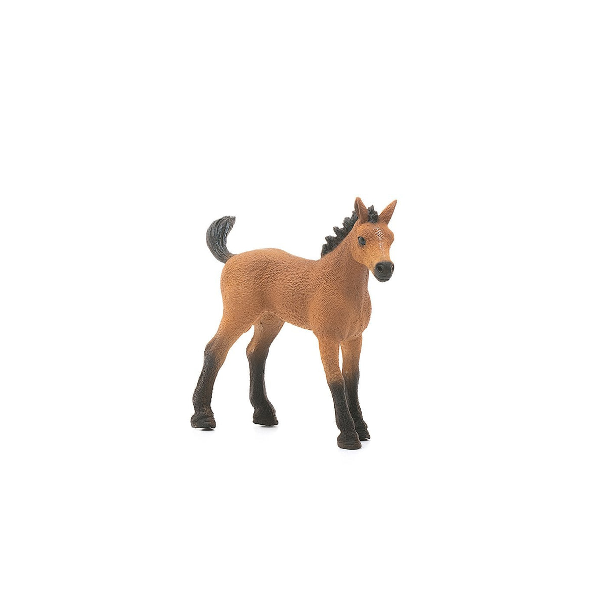 Schleich Quarter Horse Foal-13854-Animal Kingdoms Toy Store