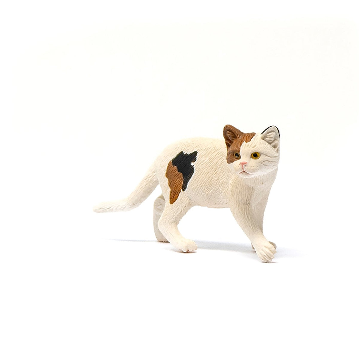 Schleich American Short hair Cat-13894-Animal Kingdoms Toy Store