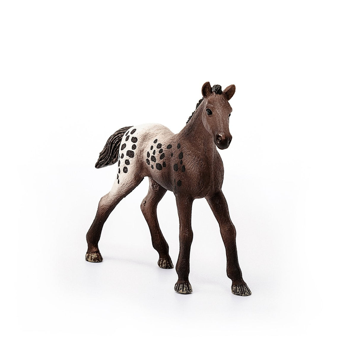 Schleich Appaloosa Foal-13862-Animal Kingdoms Toy Store