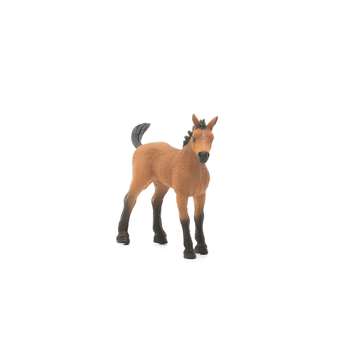 Schleich Quarter Horse Foal-13854-Animal Kingdoms Toy Store