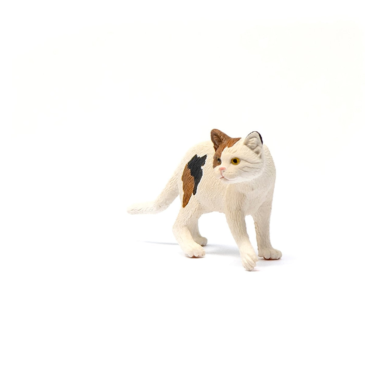 Schleich American Short hair Cat-13894-Animal Kingdoms Toy Store
