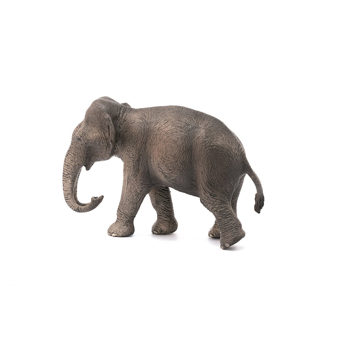 Schleich Asian Elephant Cow-14753-Animal Kingdoms Toy Store
