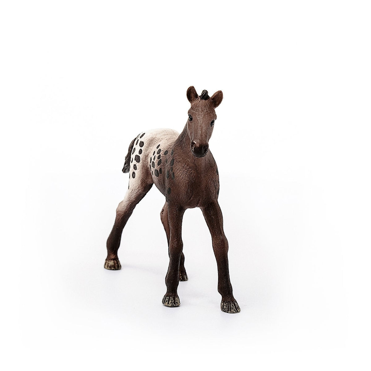 Schleich Appaloosa Foal-13862-Animal Kingdoms Toy Store