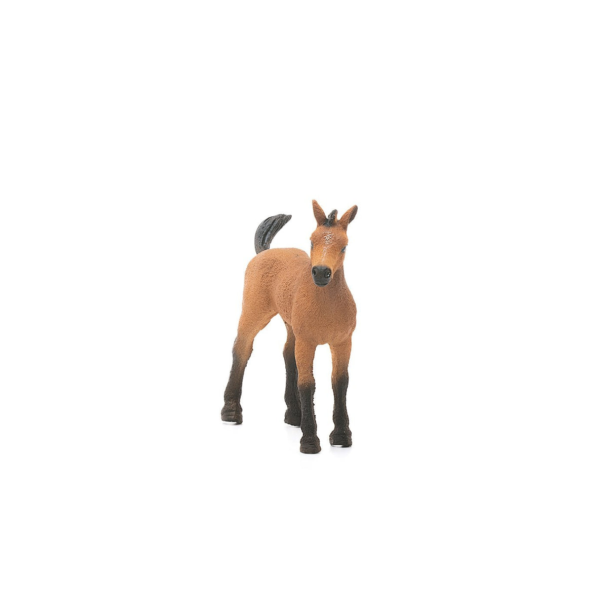 Schleich Quarter Horse Foal-13854-Animal Kingdoms Toy Store