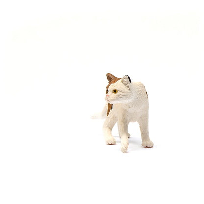 Schleich American Short hair Cat-13894-Animal Kingdoms Toy Store