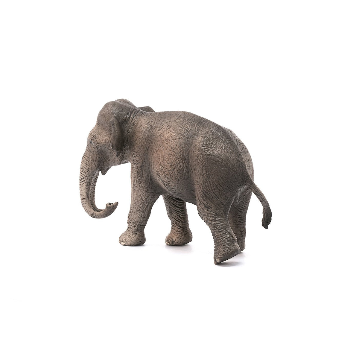Schleich Asian Elephant Cow-14753-Animal Kingdoms Toy Store