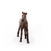 Schleich Appaloosa Foal-13862-Animal Kingdoms Toy Store