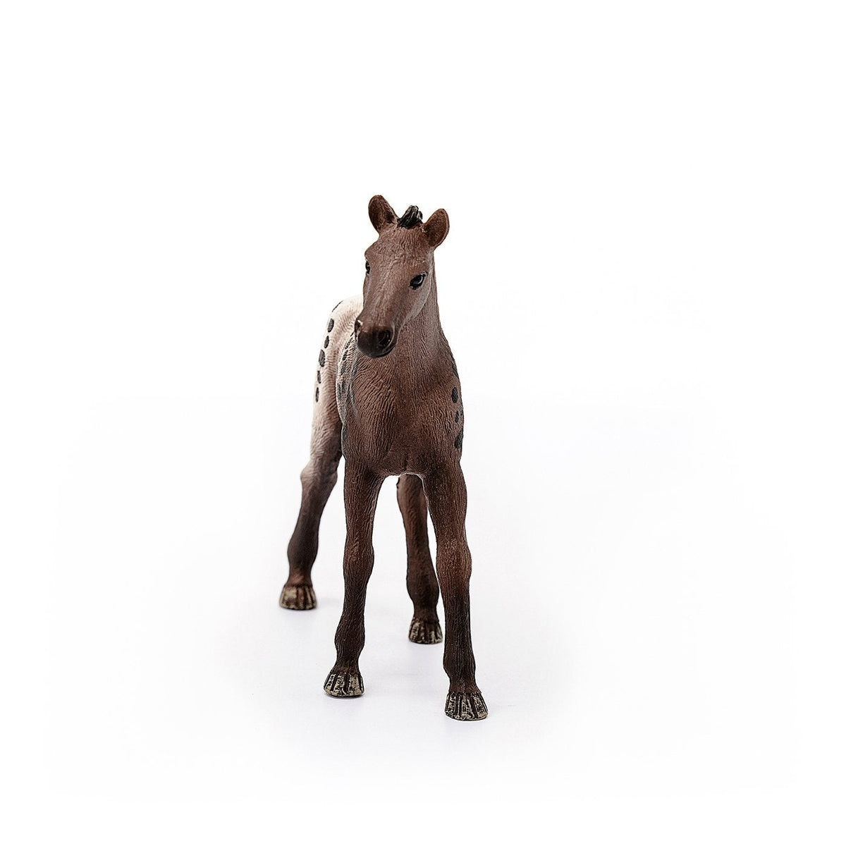Schleich Appaloosa Foal-13862-Animal Kingdoms Toy Store