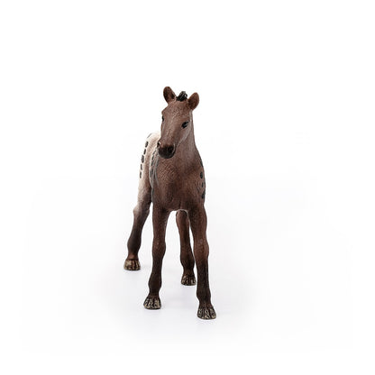 Schleich Appaloosa Foal-13862-Animal Kingdoms Toy Store