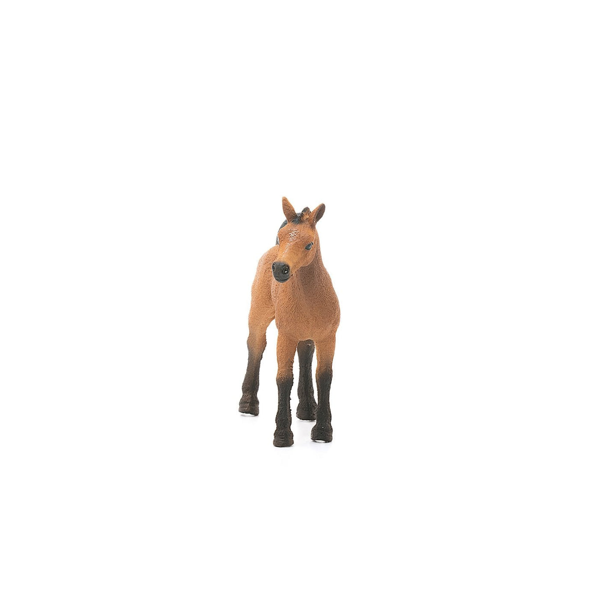 Schleich Quarter Horse Foal-13854-Animal Kingdoms Toy Store