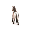 Schleich Appaloosa Mare-13861-Animal Kingdoms Toy Store
