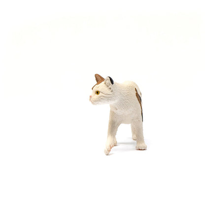 Schleich American Short hair Cat-13894-Animal Kingdoms Toy Store