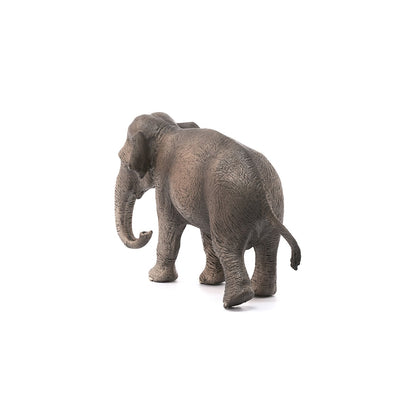 Schleich Asian Elephant Cow-14753-Animal Kingdoms Toy Store