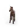Schleich Appaloosa Foal-13862-Animal Kingdoms Toy Store