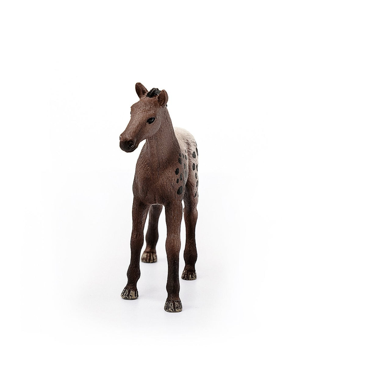 Schleich Appaloosa Foal-13862-Animal Kingdoms Toy Store