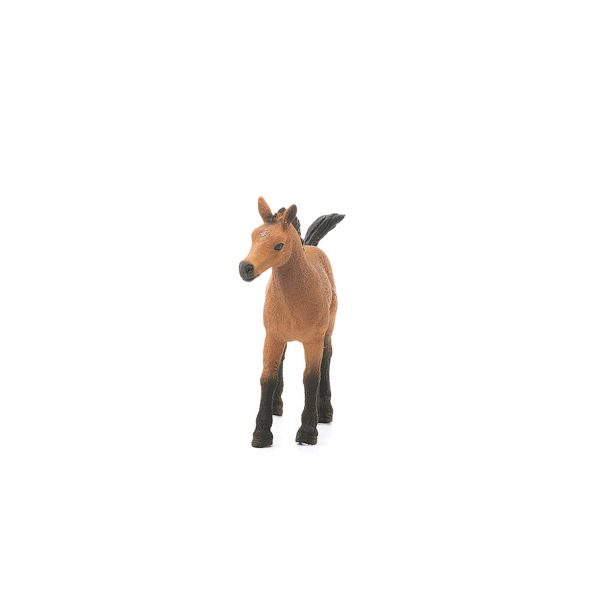 Schleich Quarter Horse Foal-13854-Animal Kingdoms Toy Store