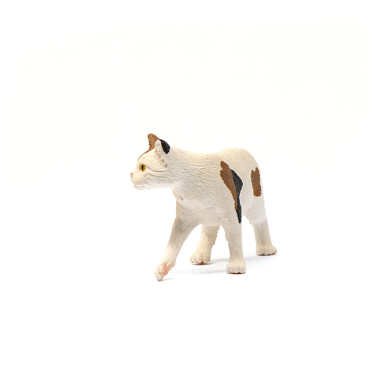 Schleich American Short hair Cat-13894-Animal Kingdoms Toy Store