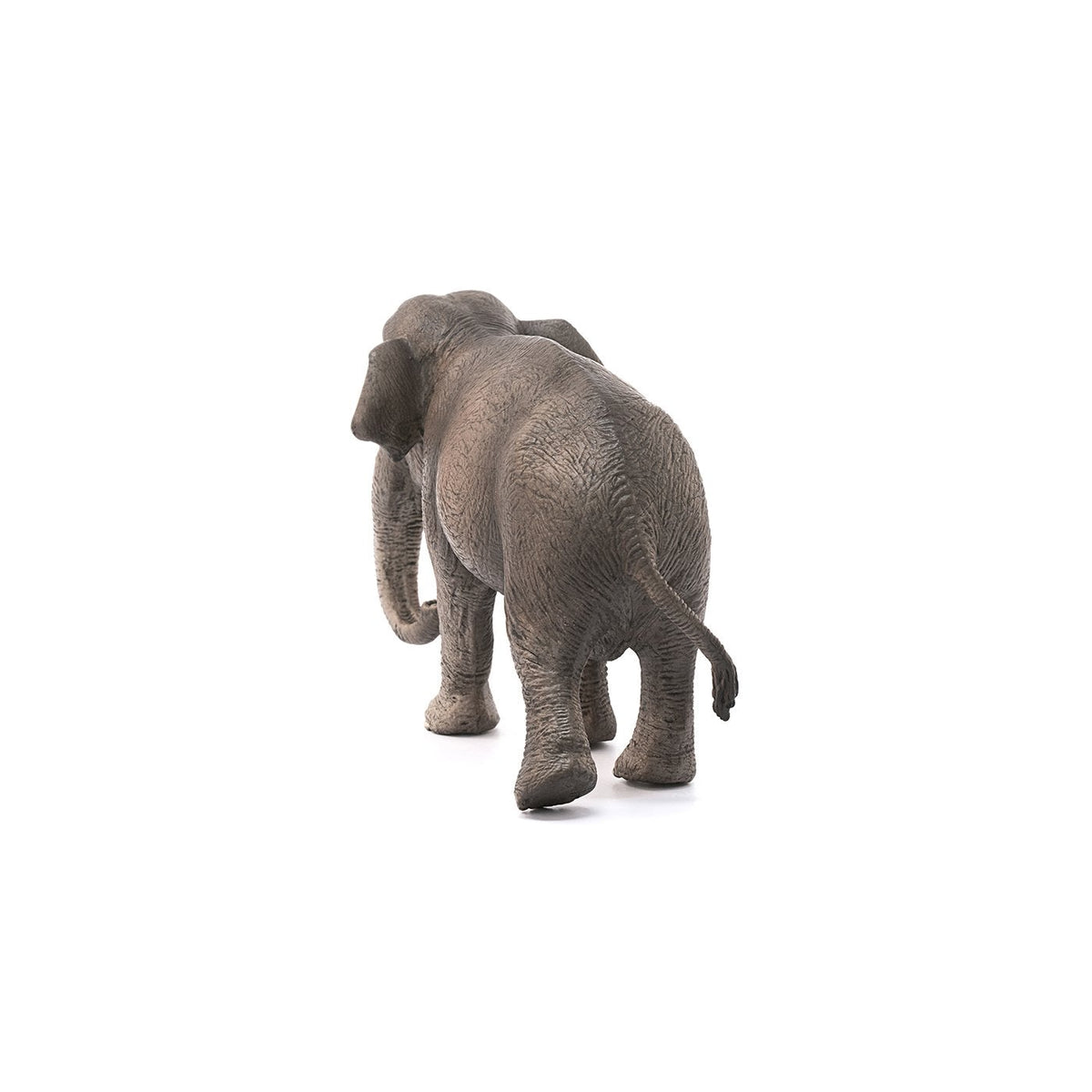 Schleich Asian Elephant Cow-14753-Animal Kingdoms Toy Store